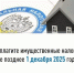 Срок уплаты имущественных налогов 1 декабря - Тацинский район